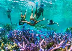 private liveaboard diving/snorkeling
